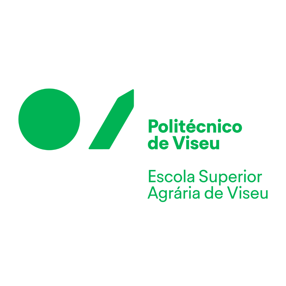 Polytechnic Institute of Viseu